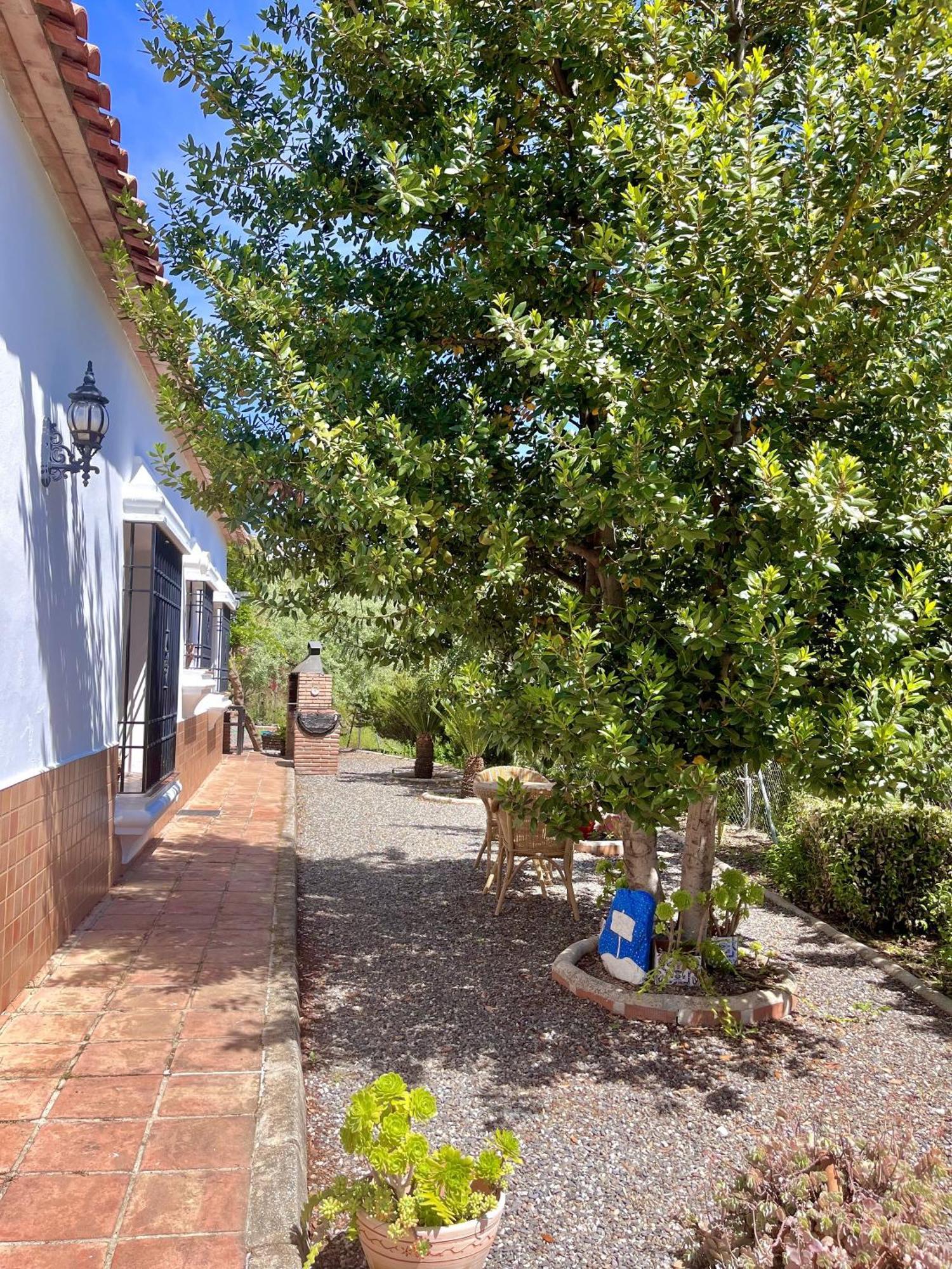 Finca Rural Mazuqueto Jubrique Екстер'єр фото